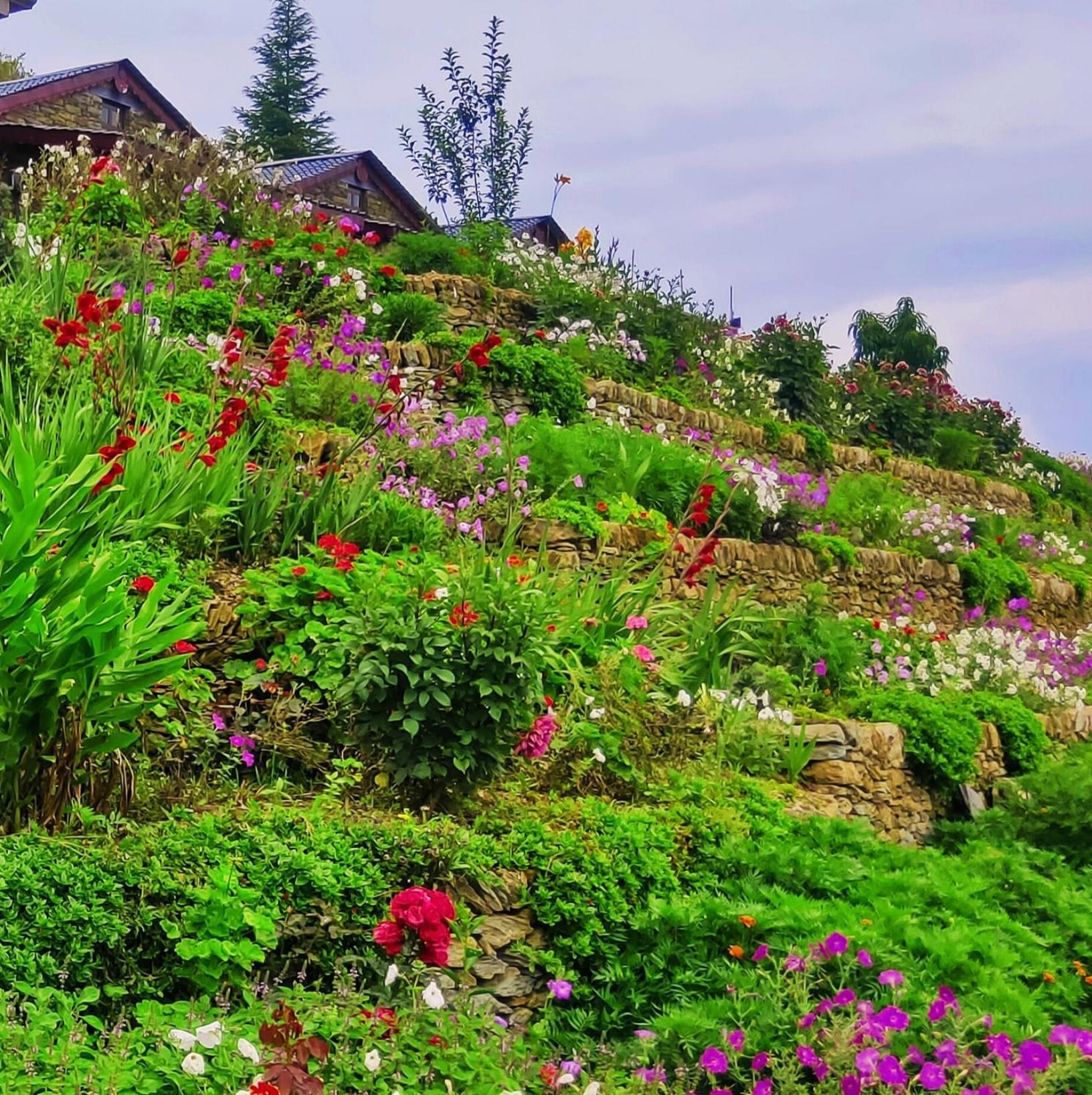 Pauri Meraki Huts מראה חיצוני תמונה
